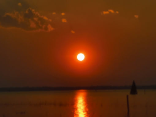 รูปภาพของ 𝕊𝕥𝕠𝕣𝕪  กระทิงมันดุ 〚Omegaverse〛